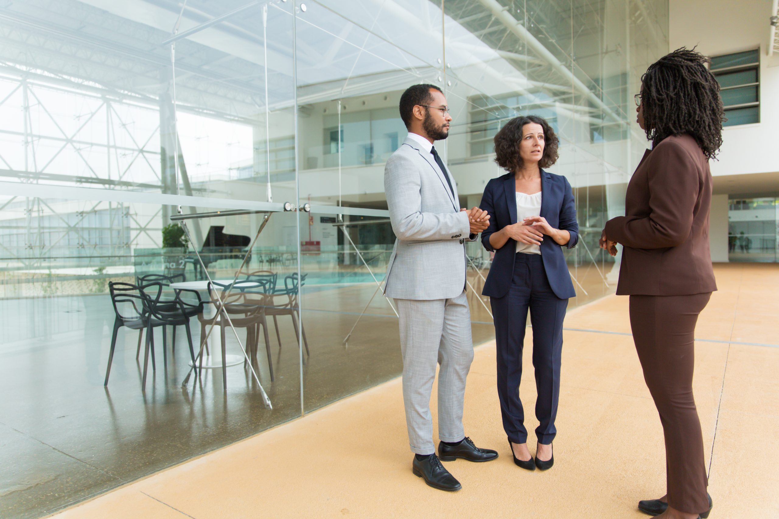 Business Establishment Consultancy